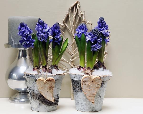 kompozycje kiwatowe.jpg