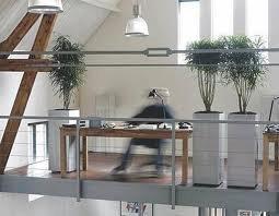 kompozycje kiwatowe.jpg