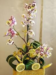 kompozycje kiwatowe.jpg